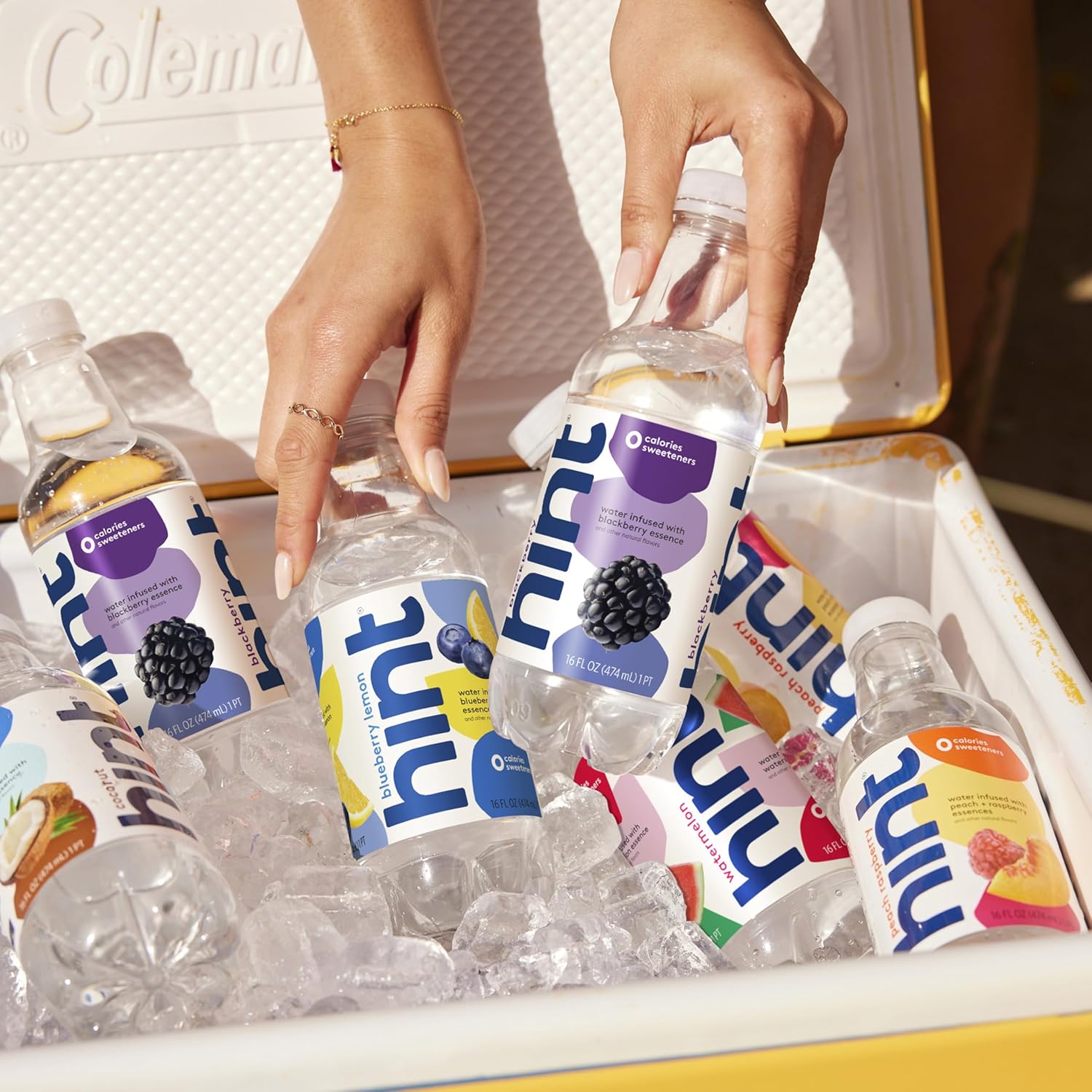 Hint Infused Bottled, Best Sellers Variety Pack - Sugar Free Flavored with Zero Calories, Natural Essences, and No Artificial Sweeteners - 16 Fl Oz (Pack of 12)