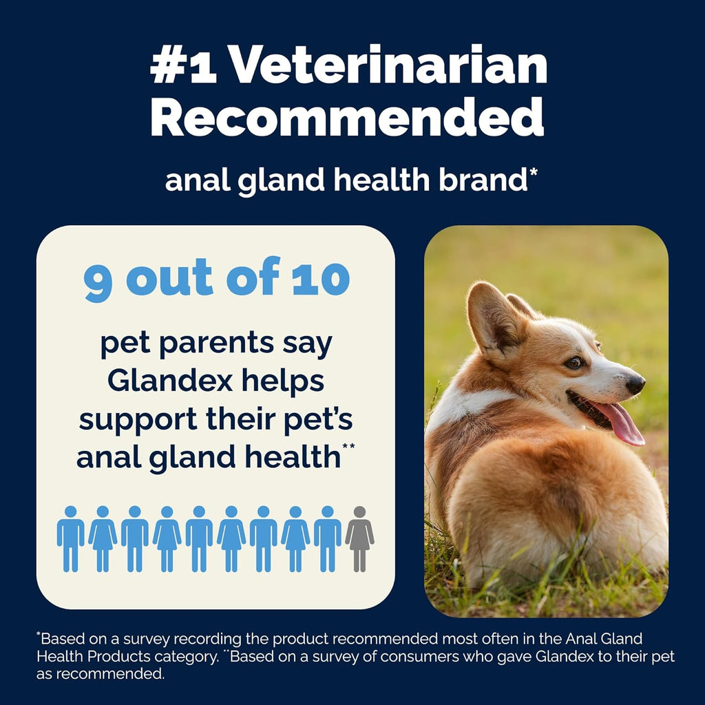 Vetnique Glandex Anal Gland Soft Chew Treats with Pumpkin for Dogs Digestive Enzymes, Probiotics Fiber Supplement for Dogs Boot The Scoot (Peanut Butter Chews, 60 Count)